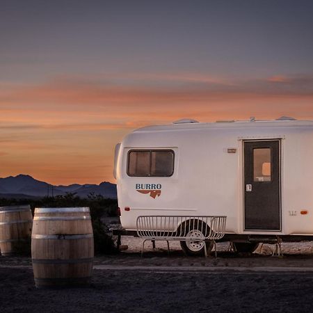 Tarantula Ranch Campground & Vineyard Near Death Valley National Park Amargosa Valley Kültér fotó