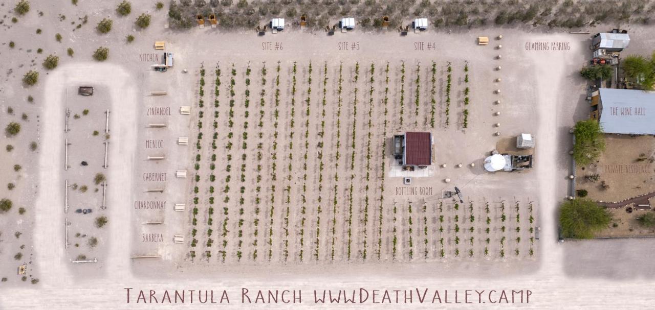 Tarantula Ranch Campground & Vineyard Near Death Valley National Park Amargosa Valley Kültér fotó